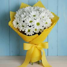 Букет цветов из:  Хризантемы в Дубках Саратовской области