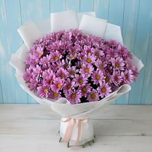 Букет цветов из:  Хризантемы в Дубках Саратовской области