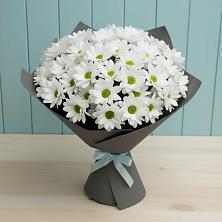 Букет цветов из:  Хризантемы в Дубках Саратовской области