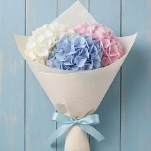 Букет цветов из:  Гортензия в Дубках Саратовской области