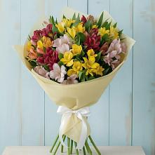Букет цветов из:  Альстромерии в Дубках Саратовской области