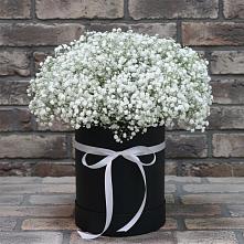 Цветочная композиция из Гипсофила в шляпной коробке #REPLACE_PRED# Дубках Саратовской области