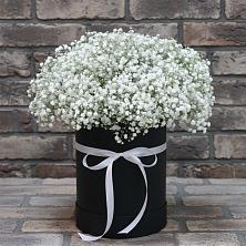 Цветочная композиция из Гипсофила в шляпной коробке в Дубках Саратовской области
