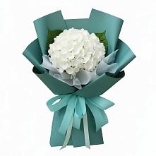 Букет цветов из:  Гортензия в Дубках Саратовской области